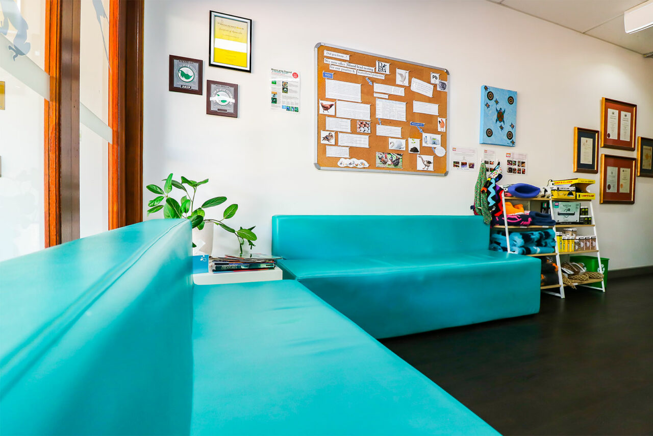 Waiting Area