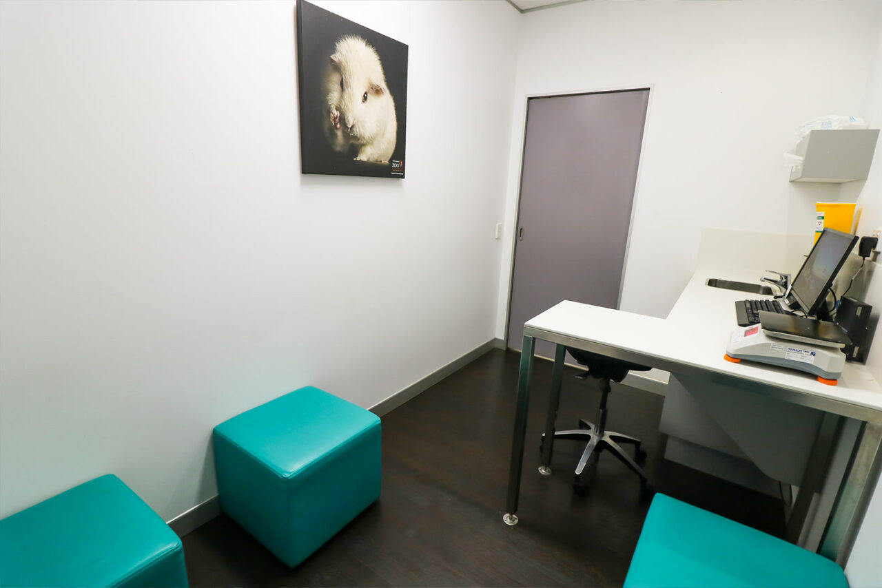 Consultation Room