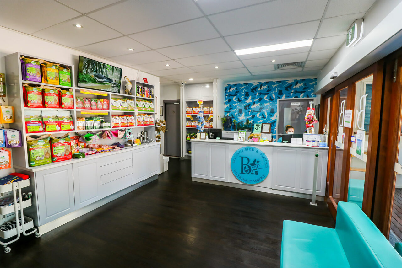 Reception Area