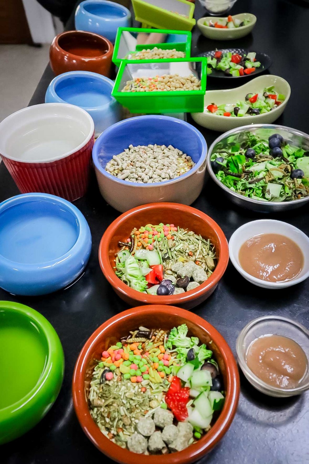 Pet Food Prepared