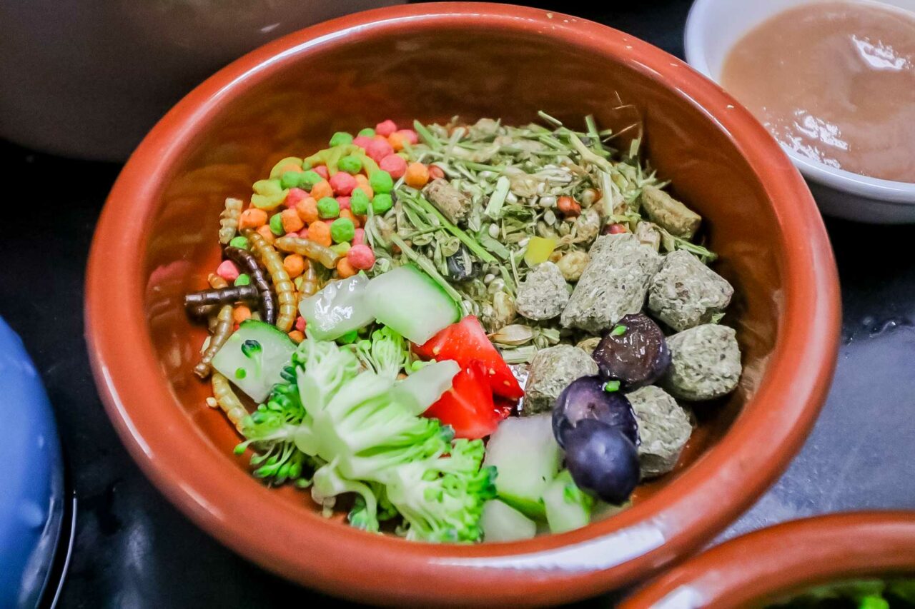 Pet Food Prepared