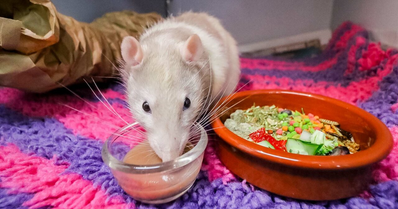 Patient Eating