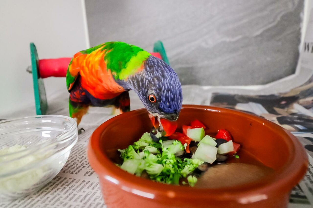 Patient Eating