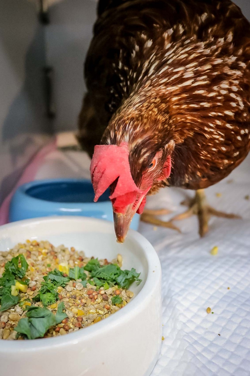 Patient Eating