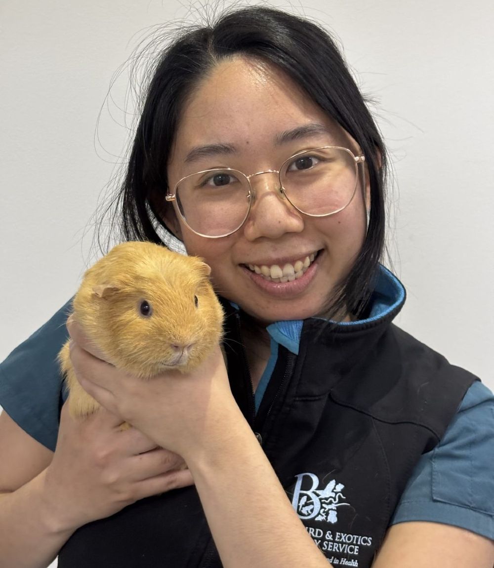 Dr. Teena Goh
