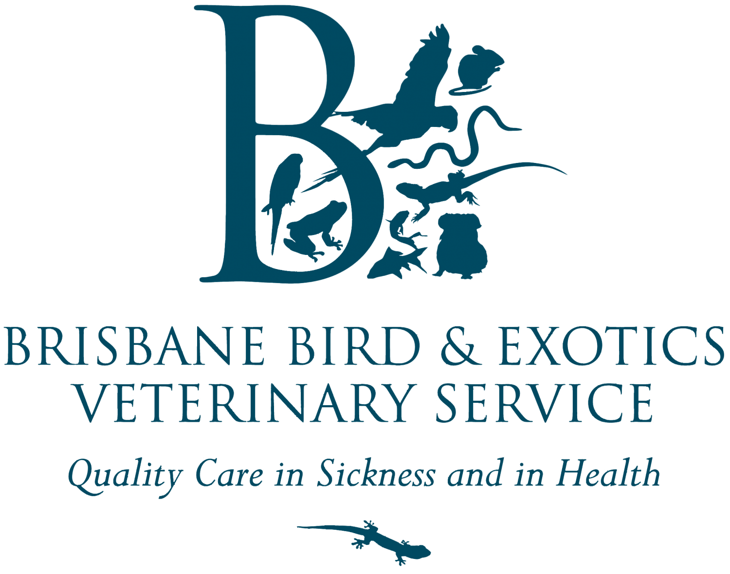 Brisbane Bird & Exotics Veterinary Service